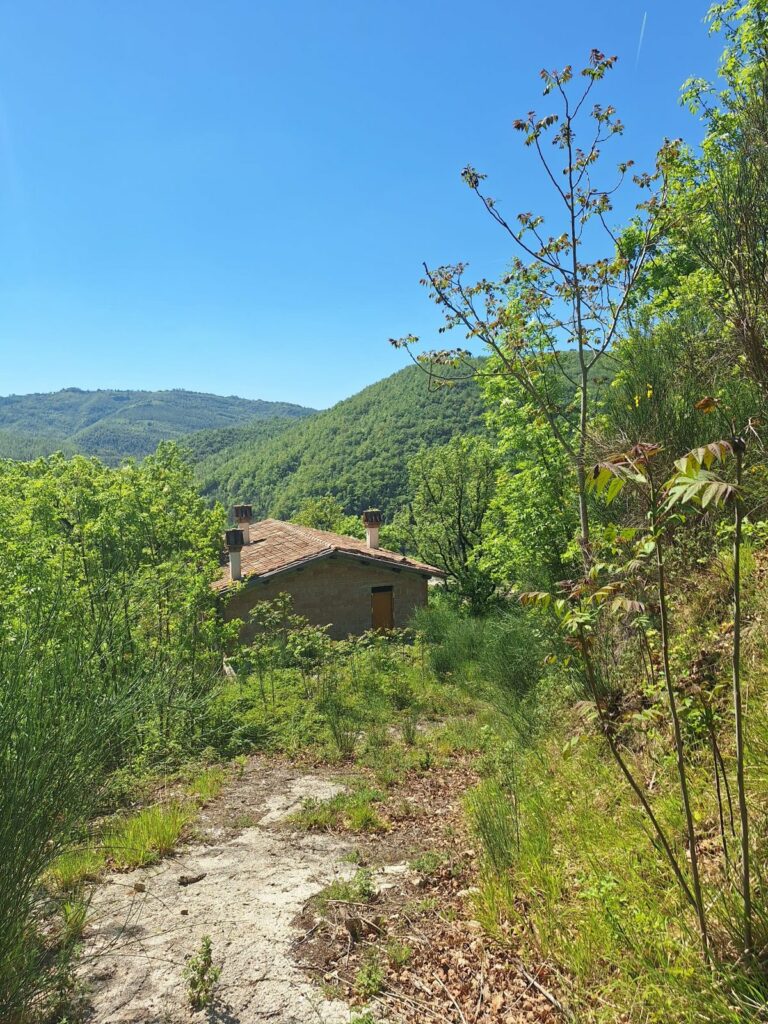 Gualdo Tadino casale al grezzo – foto 3