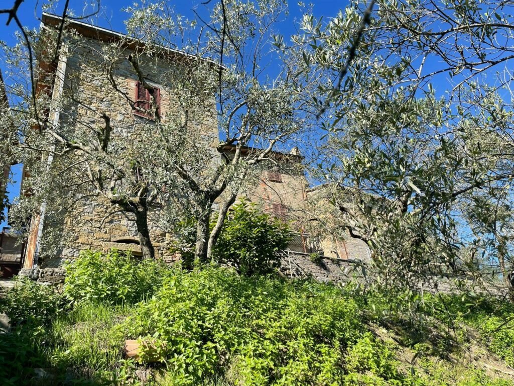 Magione Vignaia Casa singola – foto 1